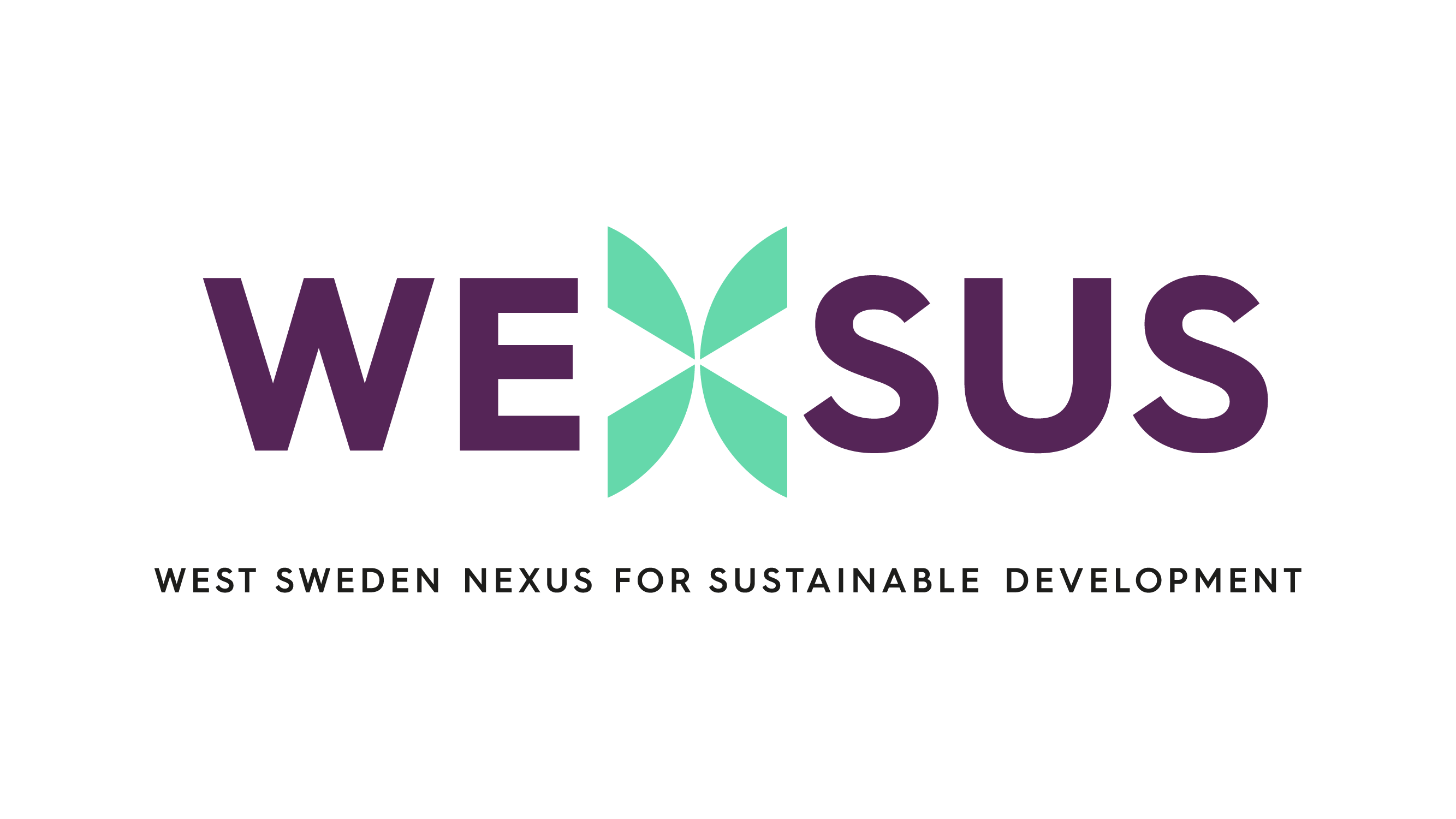 Logotyp Wexsus